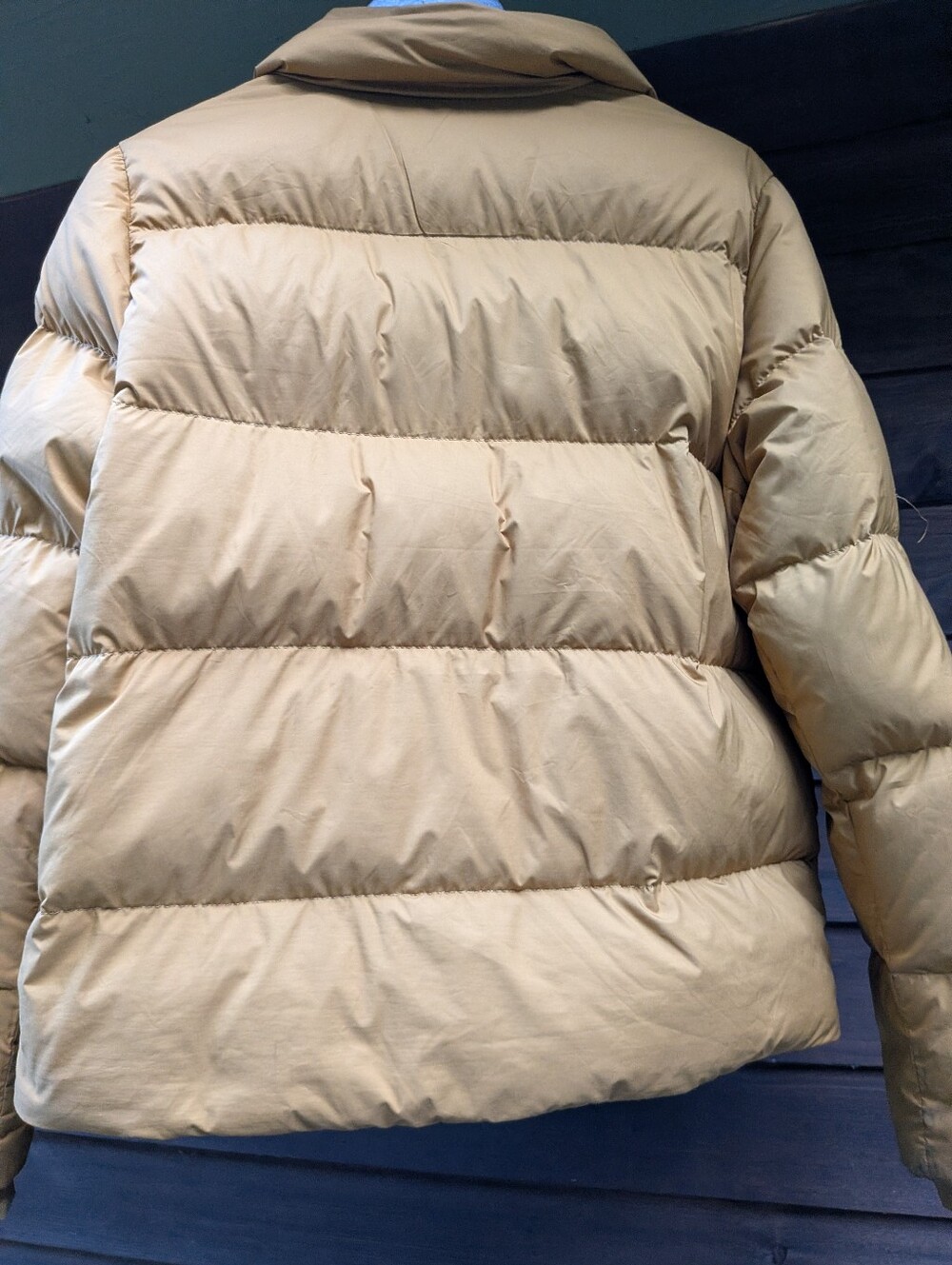 Patagonia Puffer - Picture 5 of 6